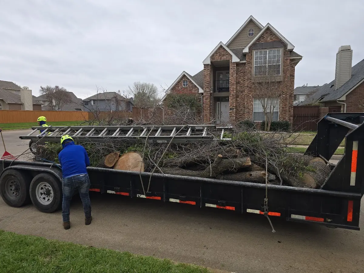 Expert Crown Reduction with proper safety equipment in Olympia Fields